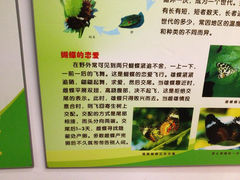 16.7-上海大自然野生昆虫馆