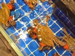 -百富源·海鲜辽菜(浑河堡店)
