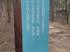 -佛慧山