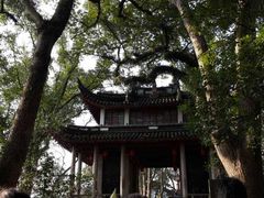 -溪口-滕头旅游景区