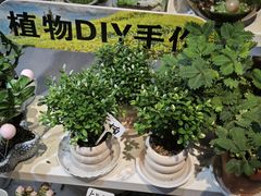 -吾悦广场(天津和平店)