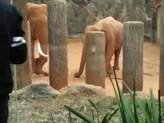 -昆明动物园