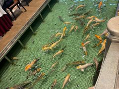 -金河半岛园林酒家(金融城店)