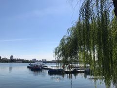 -长春市南湖公园