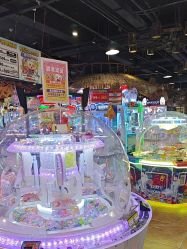 -卡通尼·Safari非洲探索乐园·生日会(金桥国际商业广场店)