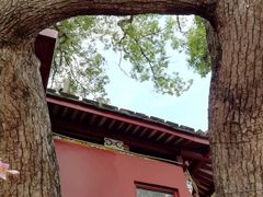 -仓山金山寺