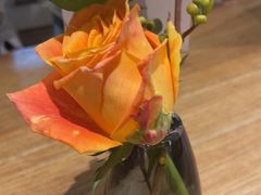 -gaga(深圳南山益田假日广场店)