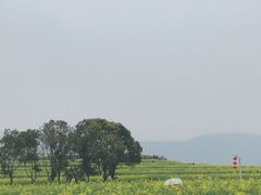 -光明小镇欢乐田园