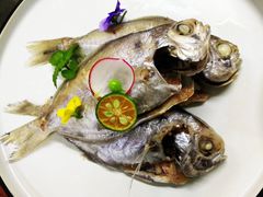 -鑫阿强海鲜大排档·老厦门特色菜(中山路店)