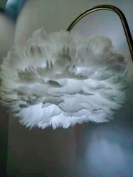 -缤卡妮肌肤管理中心