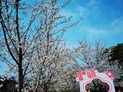 -堤角公园