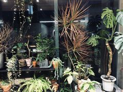 -山下C5cafe(惠通时代广场店)