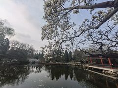 -宣武艺园
