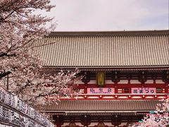 -浅草寺