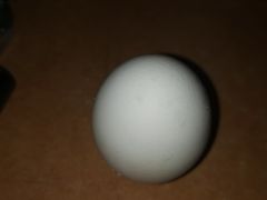 -傻二炒货龙虾(李沧旗舰店)