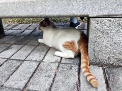 -广州珠江公园