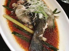 清蒸笋壳鱼-新南华大酒店(广中店)