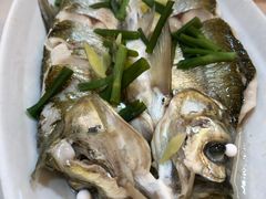 -观桥阁(锦溪店)