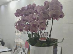 -茂菊口腔连锁(浦东南路店)