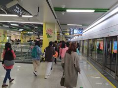 -杨柳河(地铁站)