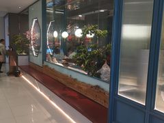 -老板恋上鱼(振华商厦店)