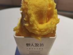 -野人牧坊Gelato(天津南开大悦城店)