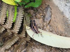 -韶关经律论国际酒店温泉