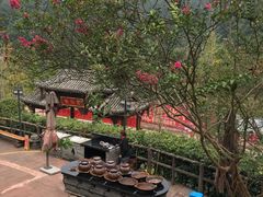 -楠柏弯休闲山庄(梨花溪店)