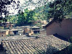 -杨家堂村