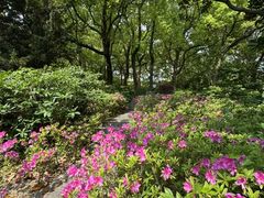 -徐家汇源景区-衡山公园