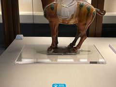 -旅顺博物馆