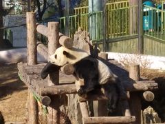 -大连森林动物园