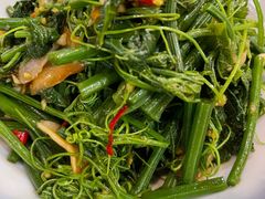 丝瓜尖拌赤贝肉-渔娘渔家丹东海鲜(东直门店)