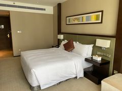 -深圳湾科技园丽雅查尔顿酒店