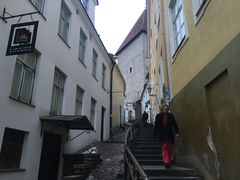 -塔林历史中心
