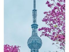 -文华公园(禅城区)