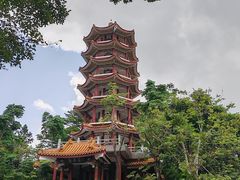 -深圳仙湖植物园