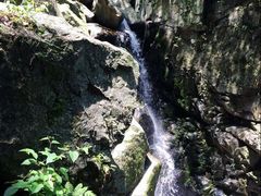 -藏龙百瀑风景区