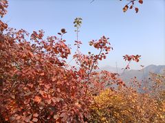 -周口店坡峰岭风景区