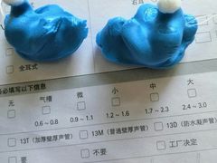 -自然之声助听器·呼吸机(和平店)