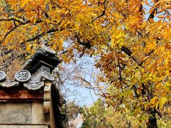 -潭柘寺景区