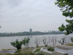 -灞河西岸滨河公园