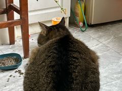 -申普宠物医院·眼科·心内科·影像科(普陀分院)