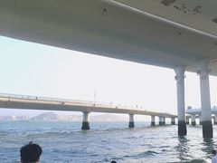 -演武大桥观景平台