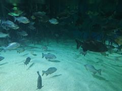 -福州罗源湾海洋世界旅游区