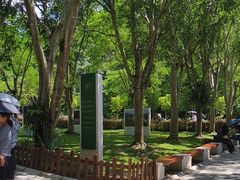 -野象谷景区