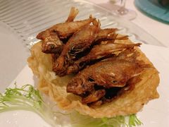 -阳澄湖费尔蒙酒店颐丰阁中餐厅(马鞍山西路店)