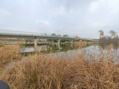 -白鹭湾湿地公园