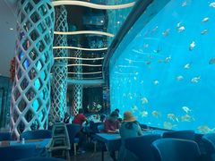 -瑞德姆美人鱼海底演艺主题餐厅(亚龙湾店)