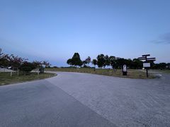 -合肥滨湖国家森林公园